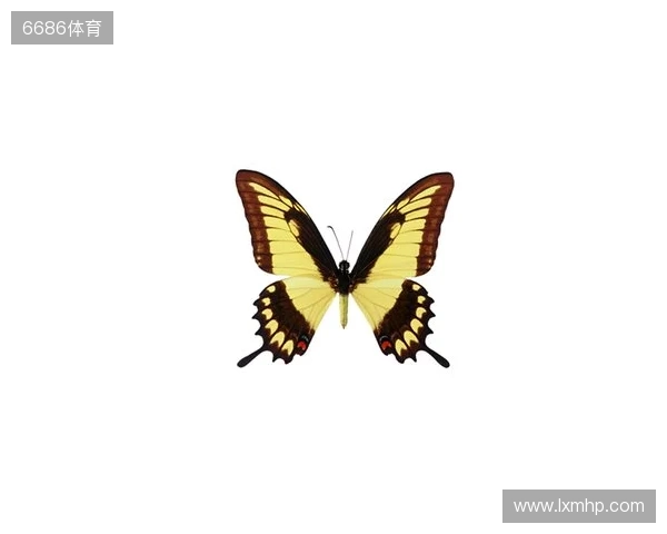 破茧成蝶:Legacy如何登顶南美、跻身世界顶尖行列 破茧成蝶:Legacy如何登顶南美、跻身世界顶尖行列